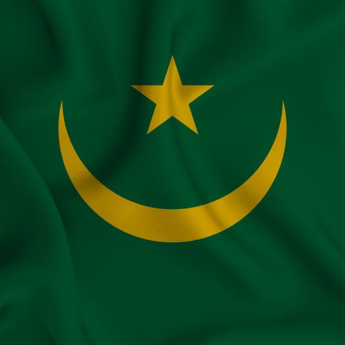 AfricanByArt's tweet photo. Mauritania: A land of vast deserts and independence. From the Sahara to the coast, Happy Independence Day! 

#Mauritania #IndependenceDay #Africanbyart https://t.co/EHPXzqrT46
