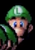 J0E_MONKEY's tweet photo. @FindLuigi found him https://t.co/eiPFSFgRAY