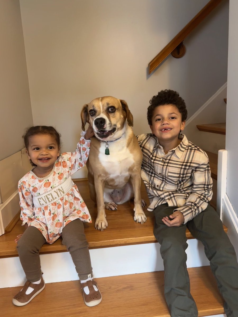 With these turkeys today! 
Happy Thanksgiving from our family to yours! 🦃🦃🦃🦃 #HappyThanksgiving #turkeyday