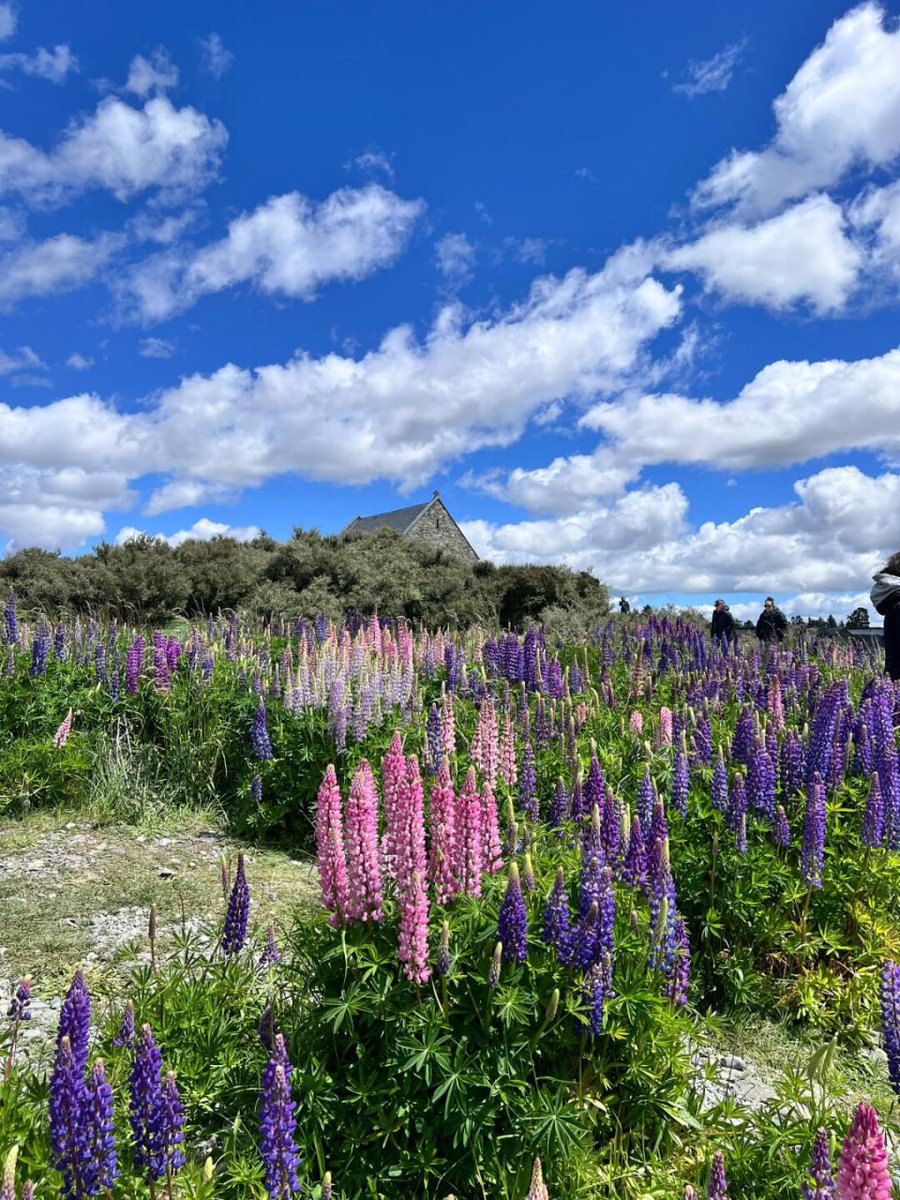 Baba086's tweet image. ✨✨I decided that I would make memories every day, 👩🏻‍💻🌸and that every day would be more valuable.🌷🌷🍂🍂