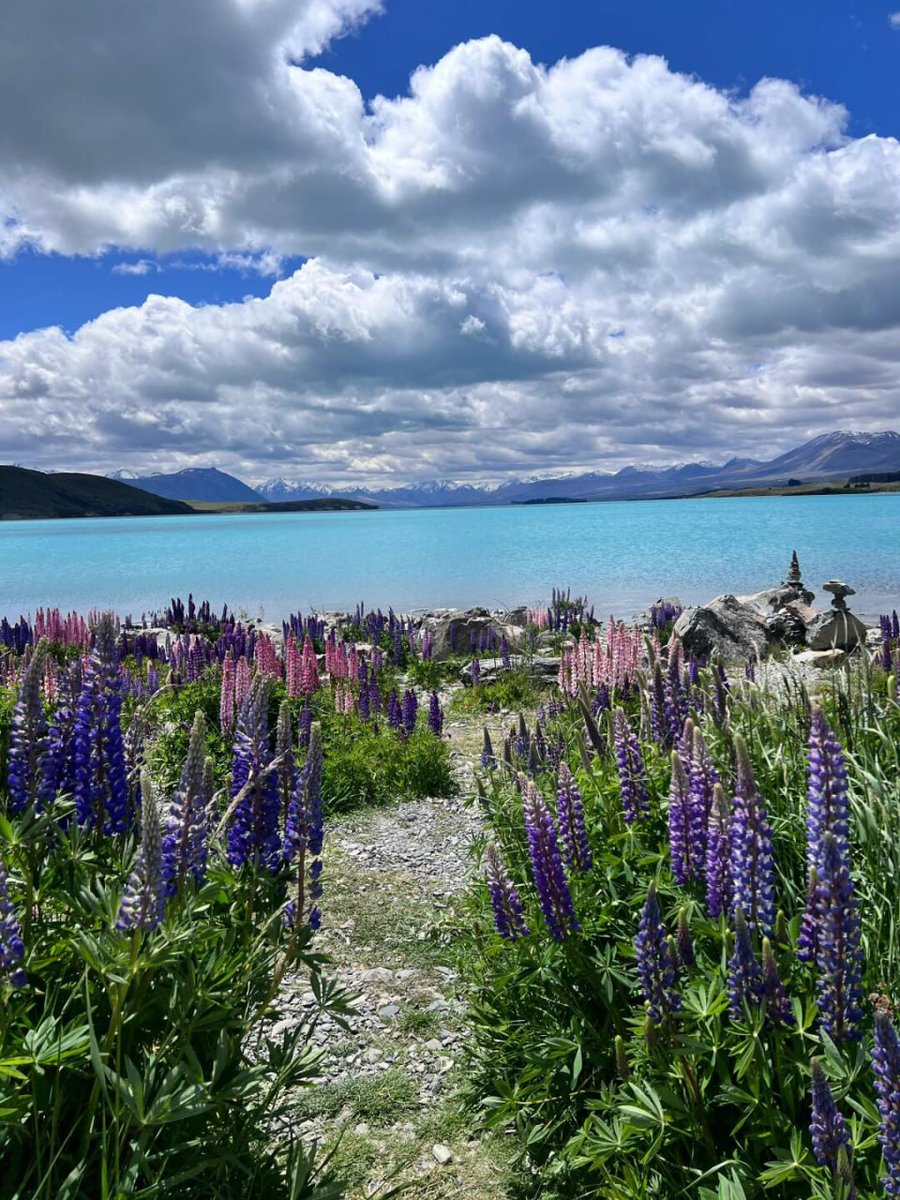 Baba086's tweet image. ✨✨I decided that I would make memories every day, 👩🏻‍💻🌸and that every day would be more valuable.🌷🌷🍂🍂