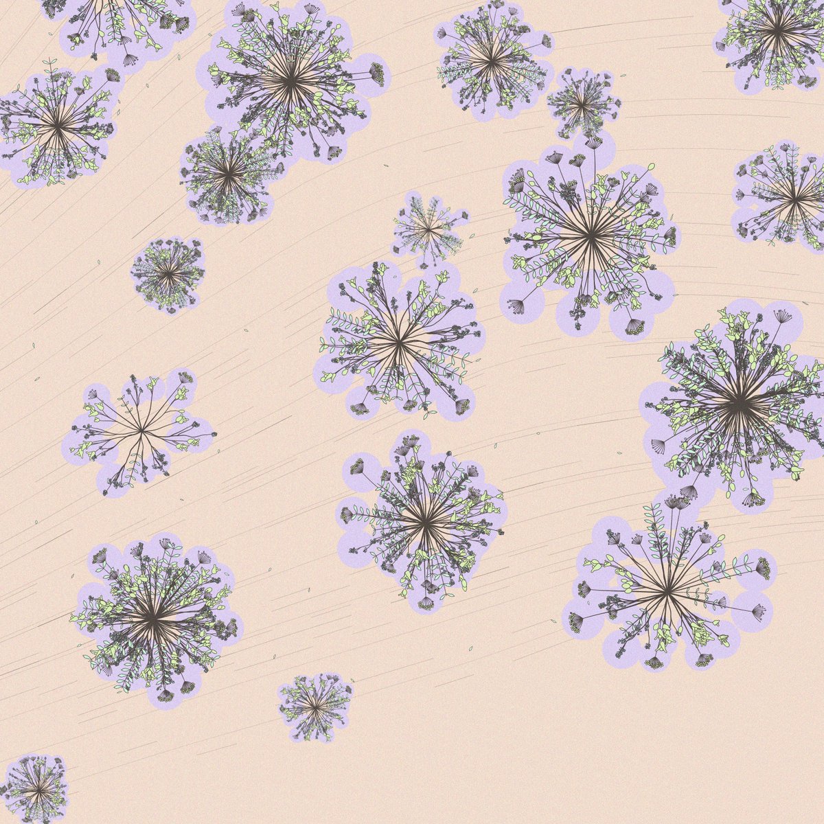 Metamorphed tweet media