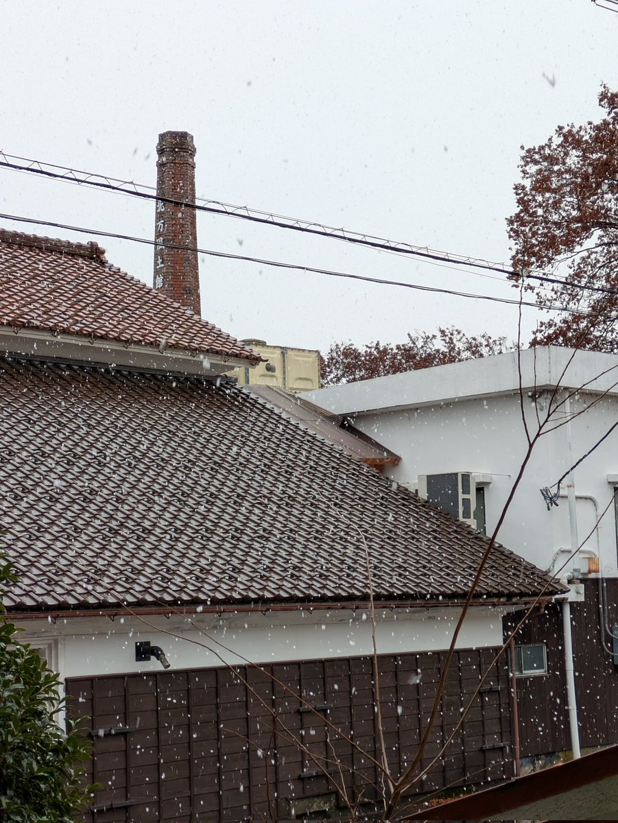 forest7939's tweet photo. 山だけでなく、市街地でも雪❄ https://t.co/FzIObkMYj1