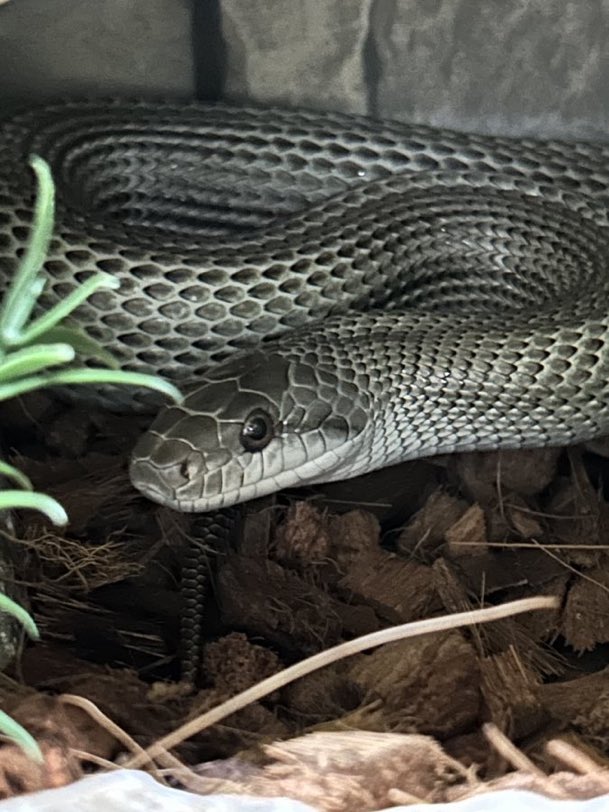 Dale K Weiner (@coachdweiner) on Twitter photo 