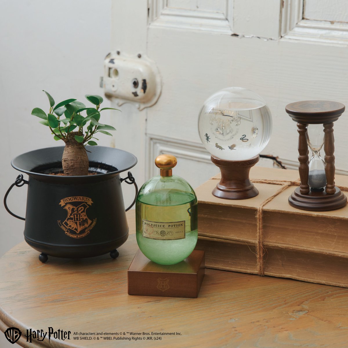 ハリーポッター 雑貨 インテリア Salut! まとめ売り salut!（サリュ