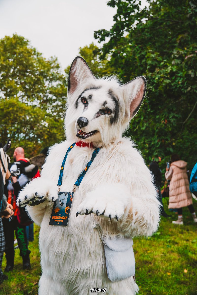 Happy #FursuitFriday in my <a href="/Kitavos_DE/">Kitavos 🇩🇪 🔜 BFD 🇩🇪</a> suit

✂️ <a href="/yurei_kitsune/">Yurei VF 2023</a>
📸 <a href="/HiiGamerz/">Gamerz</a>
🗓 28.09.2024
🏙 #Wrocław 🇵🇱 <a href="/PortalWroclawpl/">Portal wroclaw.pl</a>
🦊 #Wrocławski #Furwalk
🎩 <a href="/WrocFutrzaki/">Wrocławski Furwalk ✨</a>

#WrF #WrF2024 #Fursuit #Suitwalk #Furry #Fox #Breslau #Poland

Follow my Berk-News (TG):
t.me/Berk_News