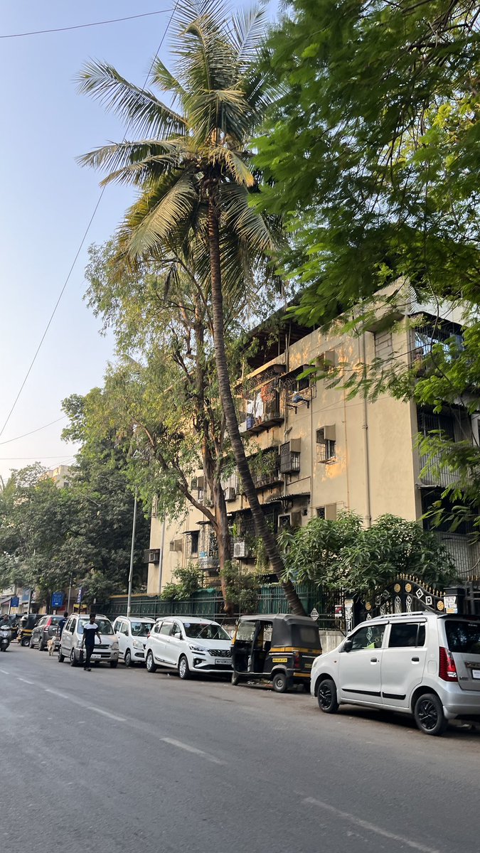 avinash03555284's tweet photo. नेरुळ सेक्टर ८-१० येथे रस्त्याच्या कडेला तसेच नेरूळ मधील विविध सेक्टर मधील असलेल्या नारळाच्या झाडाच्यामुळे पादचाऱ्यांसाठी मोठा धोका निर्माण झाला आहे
विशेषत ज्येष्ठ नागरिक दिव्यांग व्यक्ती ,लहान मुलांसाठी ही परिस्थिती अधिकच धोकादायक ठरते
आपल्या तातडीच्या कार्यवाहीची अपेक्षा आहे https://t.co/v0lpF0Ul8e