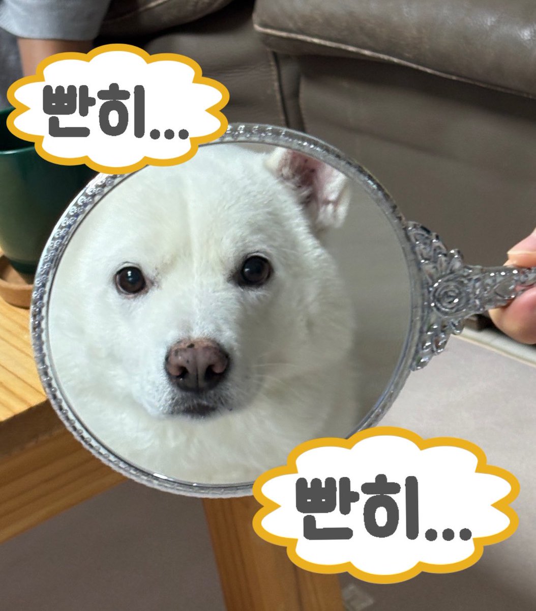 🐻❄️내이름은 윤석이🐻❄️ tweet media
