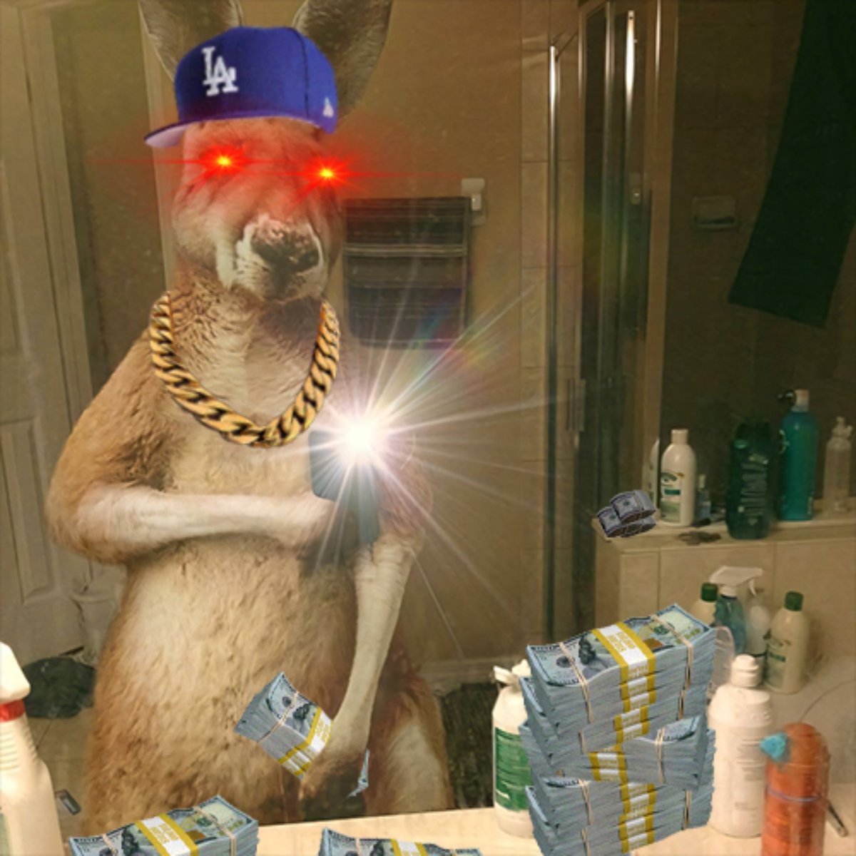 "The Jay" tweet media