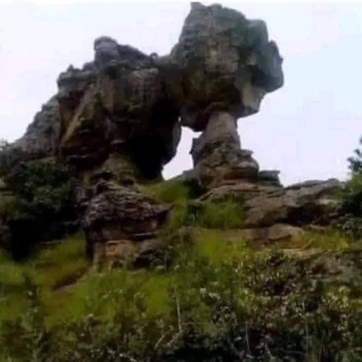 Anhaicap79's tweet photo. Thiên nhiên thật là kì thú https://t.co/FslouMEUrd