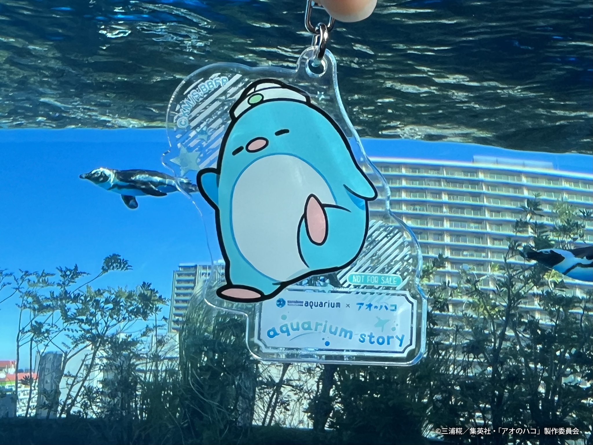 サンシャイン水族館 on X: 