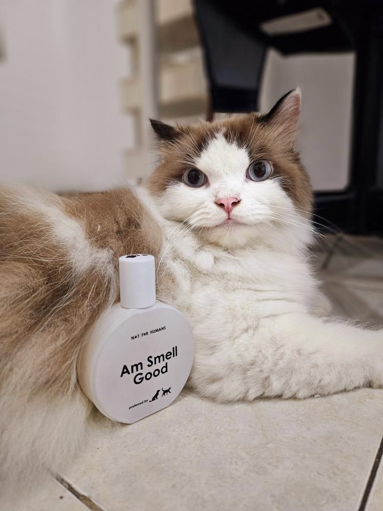 Theo T.Blung tweet media