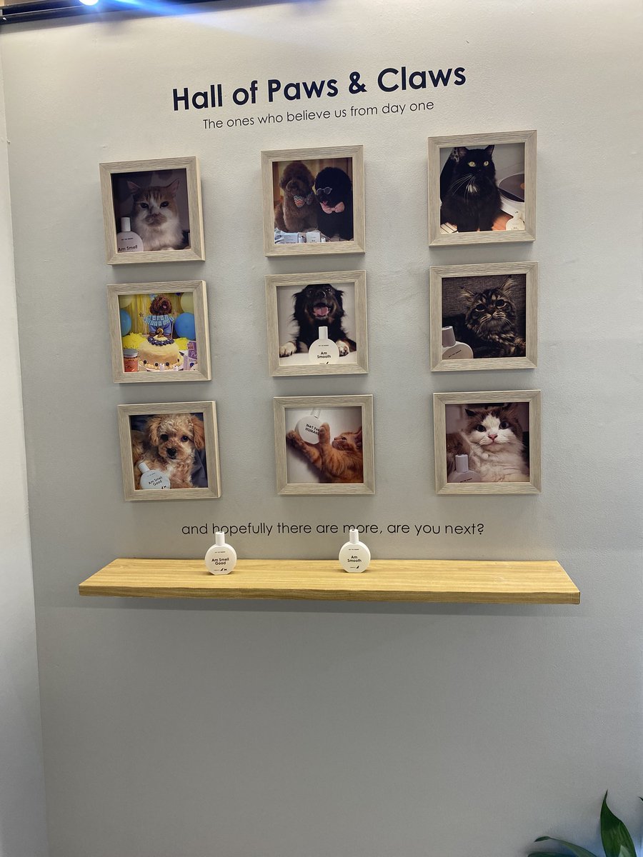 Not for Humans tweet media