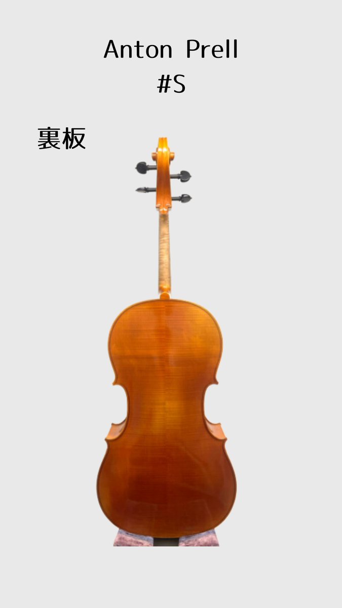 本日のチェロ紹介🎻】 世界的に人気なドイツのブランド、｢Anton Prell