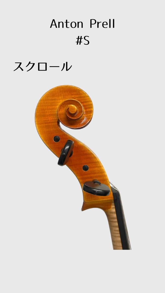 本日のチェロ紹介🎻】 世界的に人気なドイツのブランド、｢Anton Prell