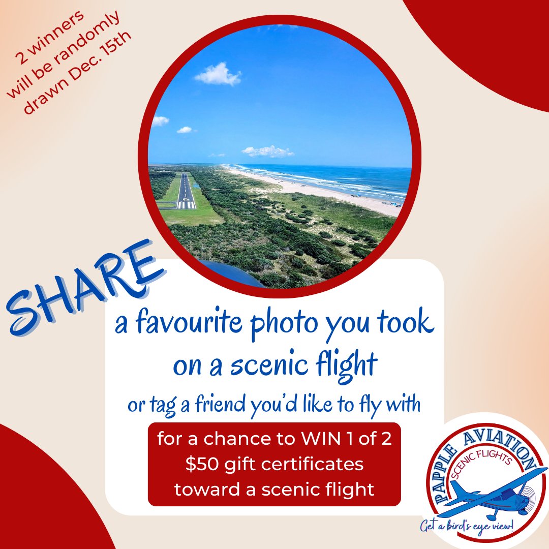 Papple Aviation tweet media