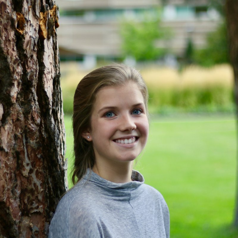 Sean Michaletz (@seanmichaletz) on Twitter photo Huge congrats to <a href="/NicoleBison/">Nicole Bison</a> for receiving a Best Presentation Award for her talk "The kinetic basis of photosynthetic heat tolerance" at the Australian Society of Plant Scientists Conference in Sydney, Australia! #ASPS2024 #MichaletzLab <a href="/ubcscience/">UBC Science</a> <a href="/UBCBotany/">UBC Botany</a> <a href="/UBCBiodiversity/">UBCBiodiversity</a> Huge congrats to <a href="/NicoleBison/">Nicole Bison</a> for receiving a Best Presentation Award for her talk "The kinetic basis of photosynthetic heat tolerance" at the Australian Society of Plant Scientists Conference in Sydney, Australia! #ASPS2024 #MichaletzLab <a href="/ubcscience/">UBC Science</a> <a href="/UBCBotany/">UBC Botany</a> <a href="/UBCBiodiversity/">UBCBiodiversity</a>