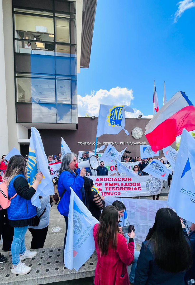 ANEF ARAUCANIA tweet media