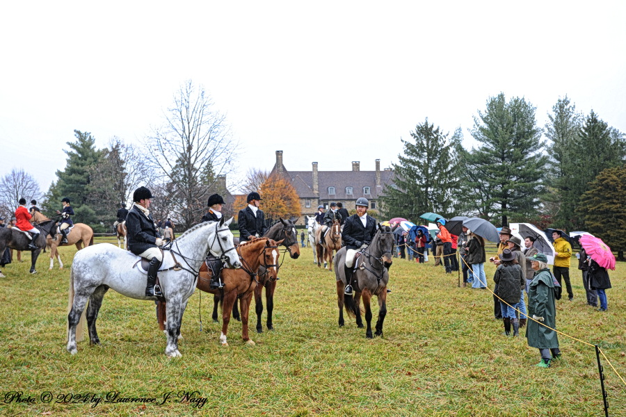 It's a setting like a Currier &amp; Ives print; the Thanksgiving meet of the Essex Fox Hounds, made famous when Jacqueline Onassis rode with them. Read about it at nancyjaffer.com