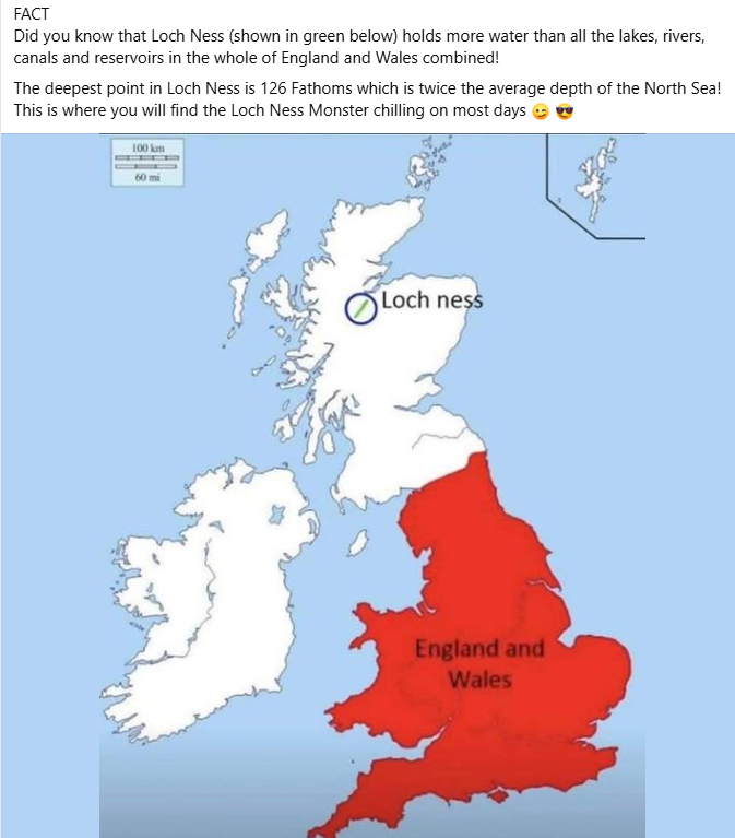 Stevedore Steve tweet media