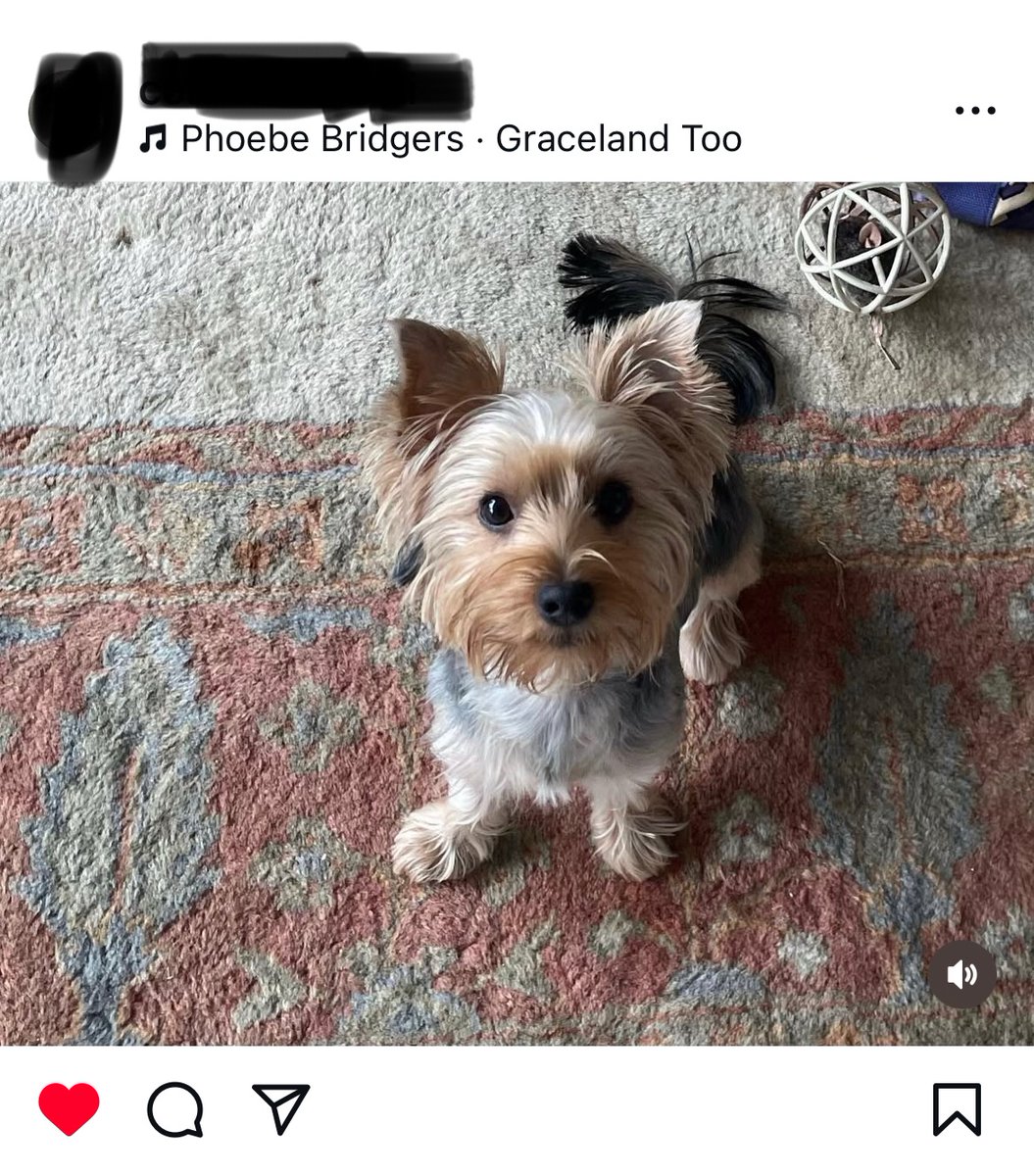 penelope tweet media