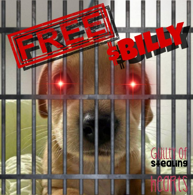 Maketsensei's tweet photo. Escape plan for $BILLY:

1️⃣ Shill harder.

2️⃣ Spread the love.

3️⃣ Build a bridge on Solana 🚀

#FreeBilly #BillyToTheMoon https://t.co/F82P3Y9zmq