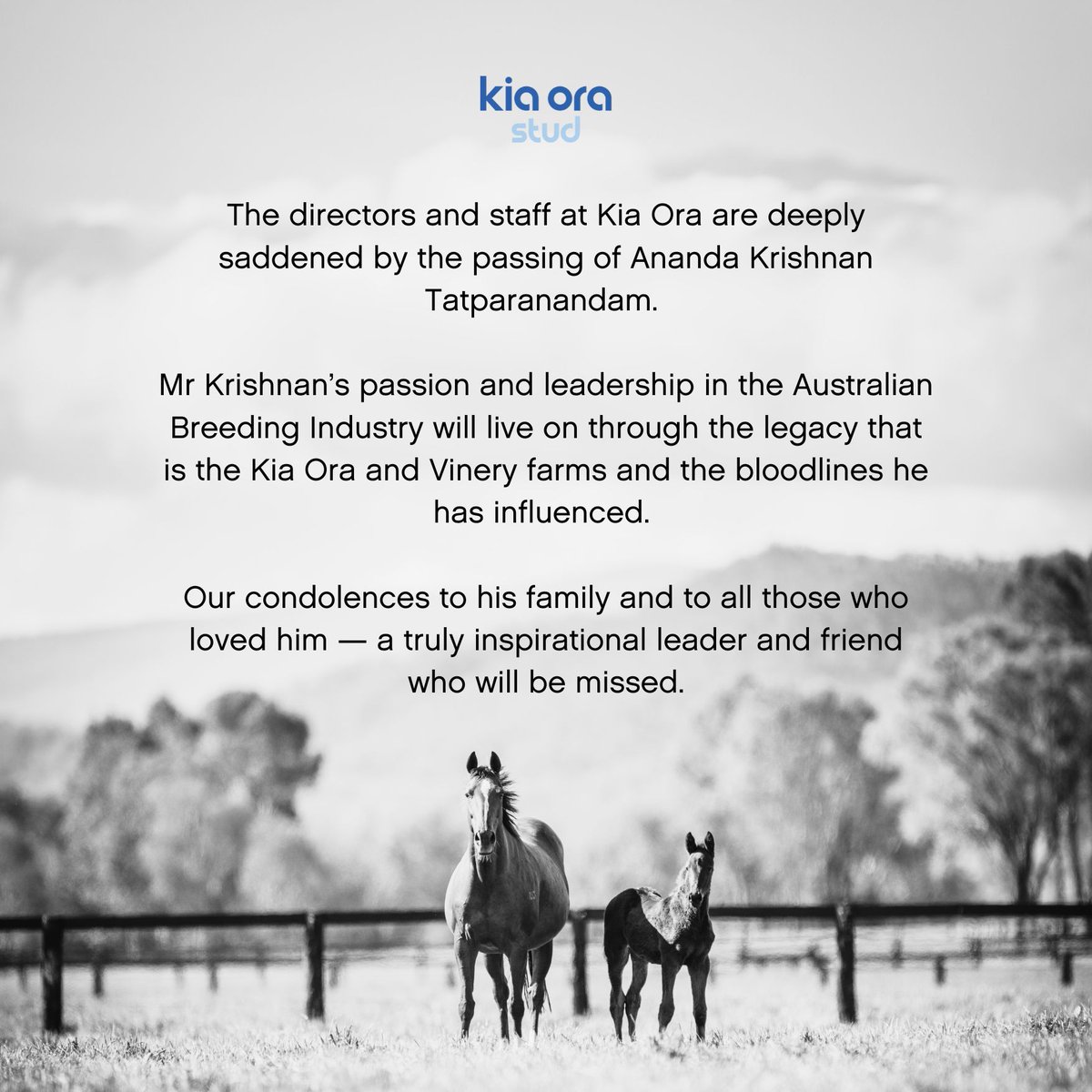 kiaorastud's tweet photo. The directors and staff at Kia Ora are deeply saddened by the passing of Ananda Krishnan Tatparanandam.  

Mr Krishnan’s passion and leadership in the Australian Breeding Industry will live on through the legacy that is the Kia Ora and Vinery farms and the bloodlines he has influenced. 

Our condolences to his family and to all those who loved him - a truly inspirational leader and friend who will be missed.