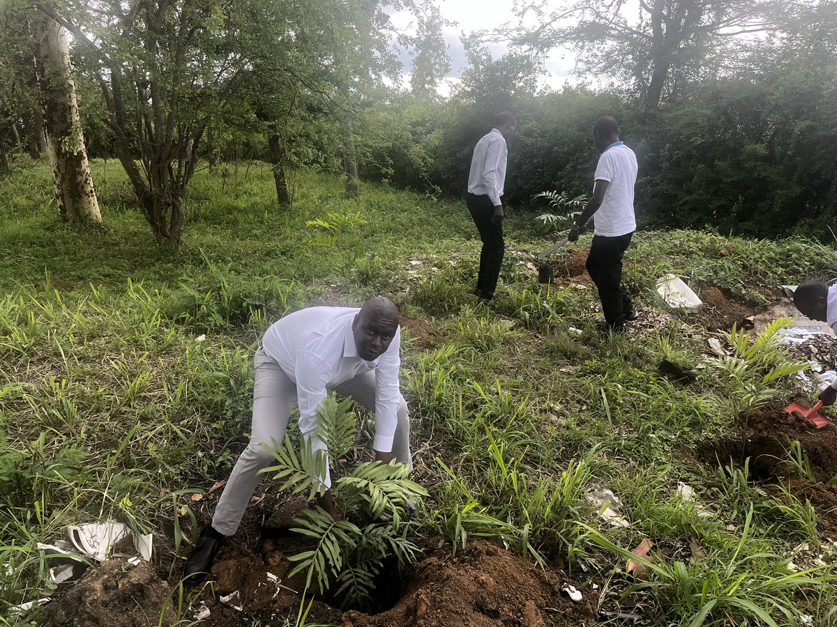 To Promote Climate Resilience,
 the Ag. CEO, Eng. F.K. Kyengo, led the team in planting over 1,000 trees within Tawwda premises.This reaffirms the Agency’s commitment to environmental conservation and climate resilience.
