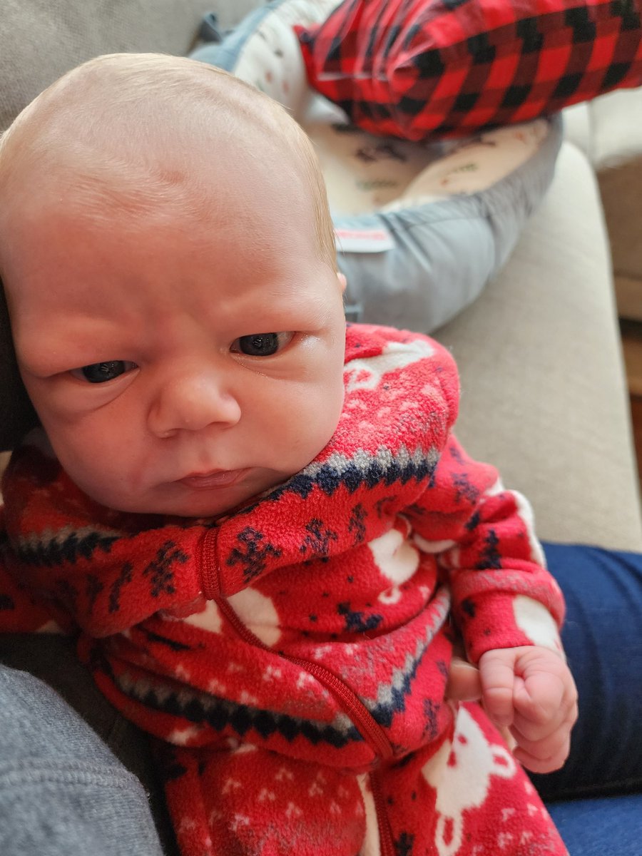 Had a serious talk with this little guy, and we concluded he's lucky #13!! Yes 13 Great Neices and Nephews for Great Uncle Shawn and Great Aunt Bridget... its pretty obvious WE ARE GREAT...<a href="/Shawridgefarm/">Shawn Schill 🇨🇦🇨🇦</a>