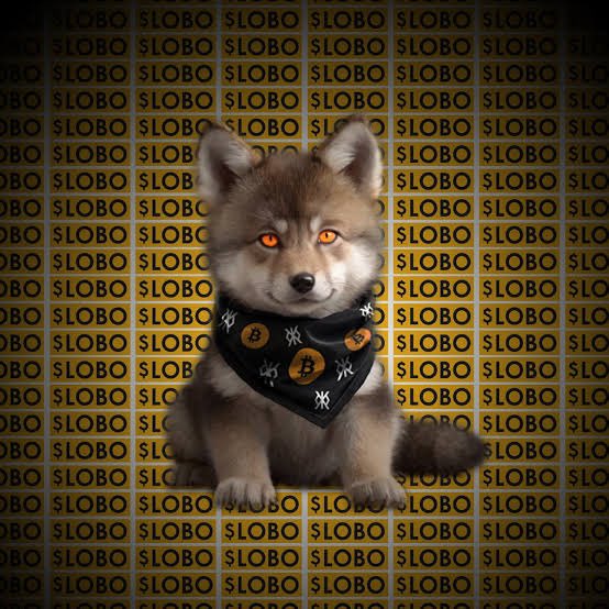 eduardobit24's tweet photo. @CoinMarketCap $LOBO @lobothewolfpup 
it seems inevitable to me 🚀🚀 https://t.co/lU71Xk9nFO