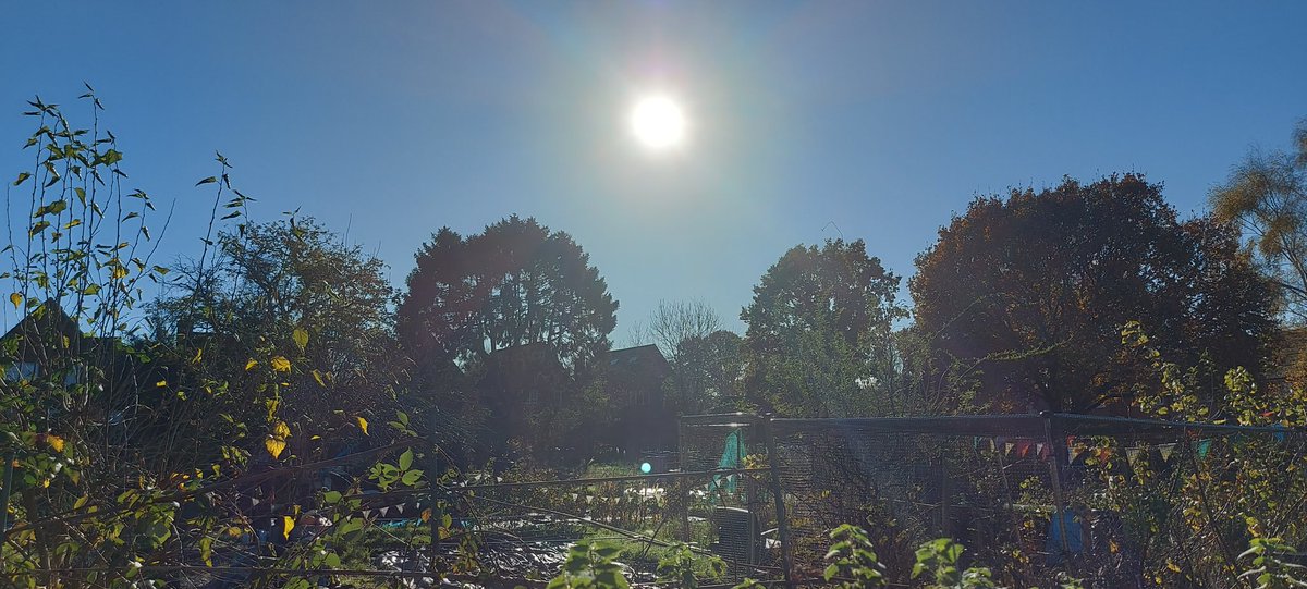 Geyser_Funny's tweet photo. @tecknetofficial The ground may be wet, but the low sun still provides beautiful surroundings. These were from my walk along the River Itchen. Farewell, Autumn! #Tecknet https://t.co/ifSApt6fYv