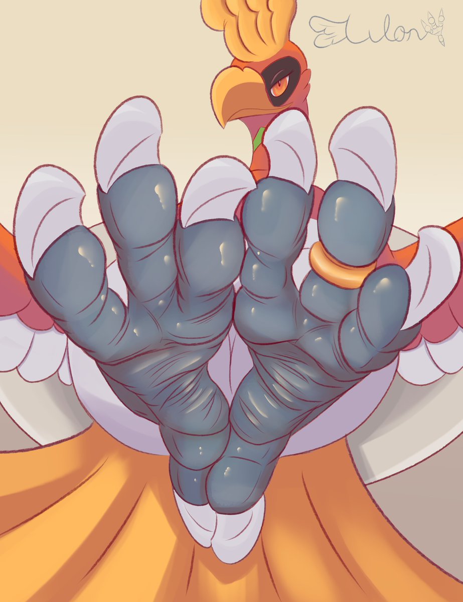 Lulon, the Ninja Bird 🪶 tweet media