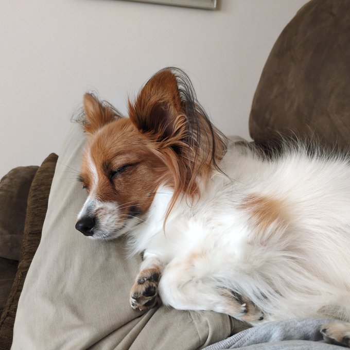 昼寝が捗るねえ 