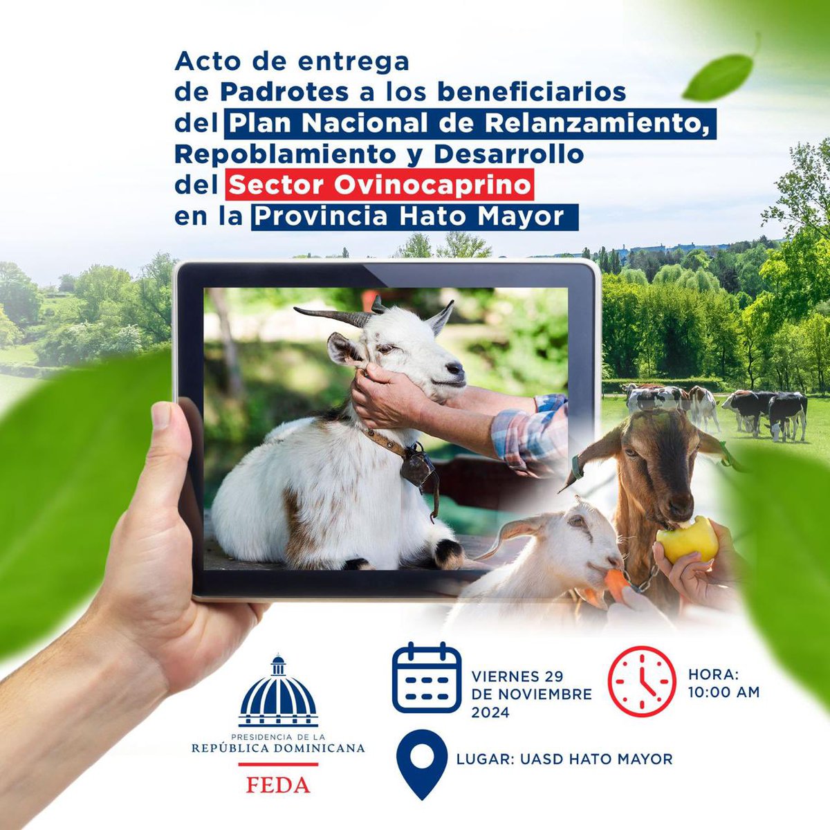 NilianReynoso's tweet photo. Este viernes 29 de noviembre el @Feda_RD visita la provincia de Hato Mayor con el programa siembra tu patio , entrega de padrotes, taller de capacitación y acto de entrega de viveros de cacao.
@caamanovive
#RutaDeBahía
#RDEmprende
#SiembraTuPatio
#ExpoCarneHatoMayor
#EmprendeRD https://t.co/74foC4GrSy
