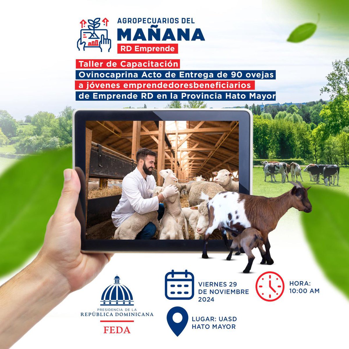 NilianReynoso's tweet photo. Este viernes 29 de noviembre el @Feda_RD visita la provincia de Hato Mayor con el programa siembra tu patio , entrega de padrotes, taller de capacitación y acto de entrega de viveros de cacao.
@caamanovive
#RutaDeBahía
#RDEmprende
#SiembraTuPatio
#ExpoCarneHatoMayor
#EmprendeRD https://t.co/74foC4GrSy