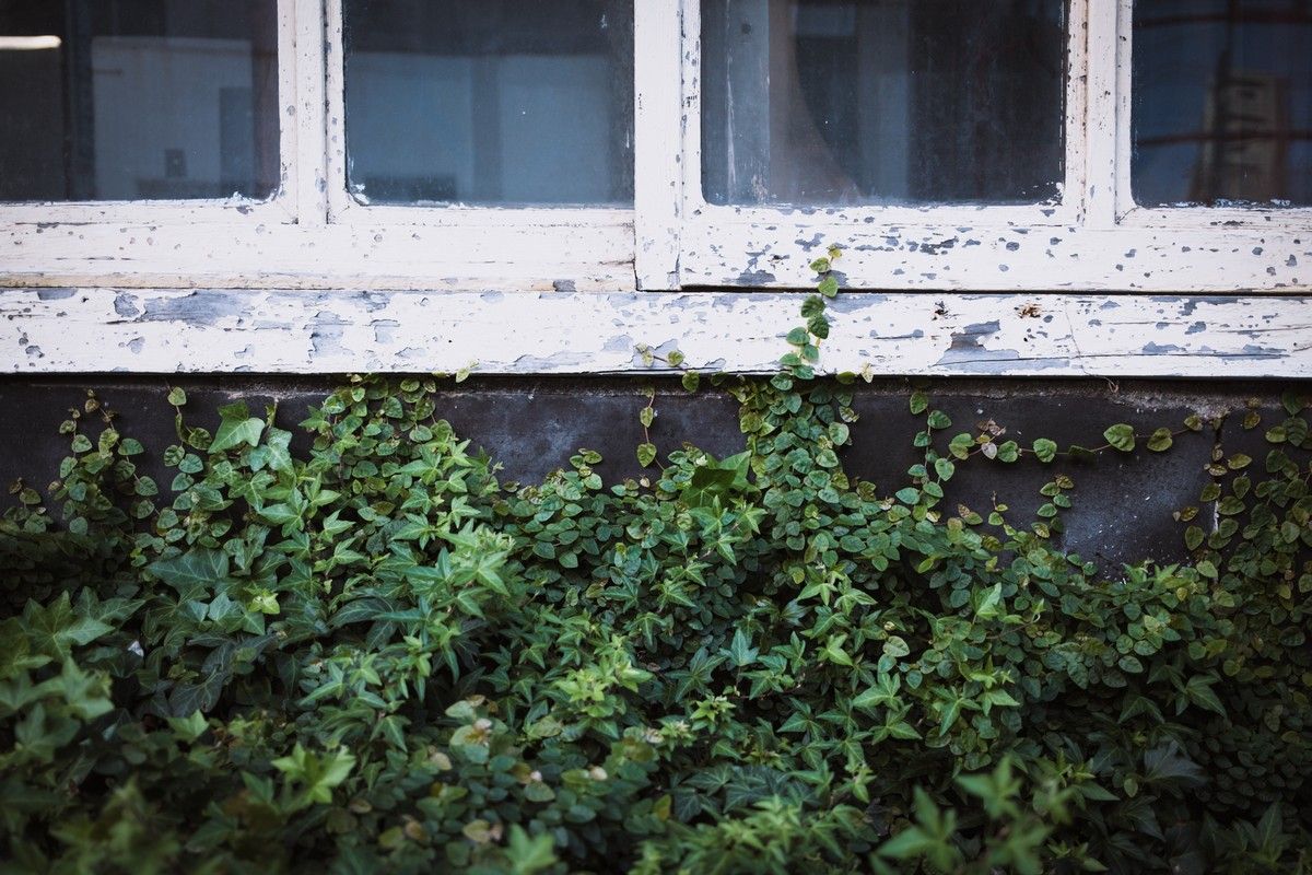 kitaq_style's tweet image. 11月の連載は「門司区 大里戸ノ上」。冬季の澄んだ空気や夕日がつくる影、街角の植物たちの写真を見ていると散歩したくなりますね。
北九州市在住の写真家、栗山喬さん@age_cox の連載企画「Go Around」
vol.23 門司区 大里戸ノ上 kitaq.style/go_around_023/