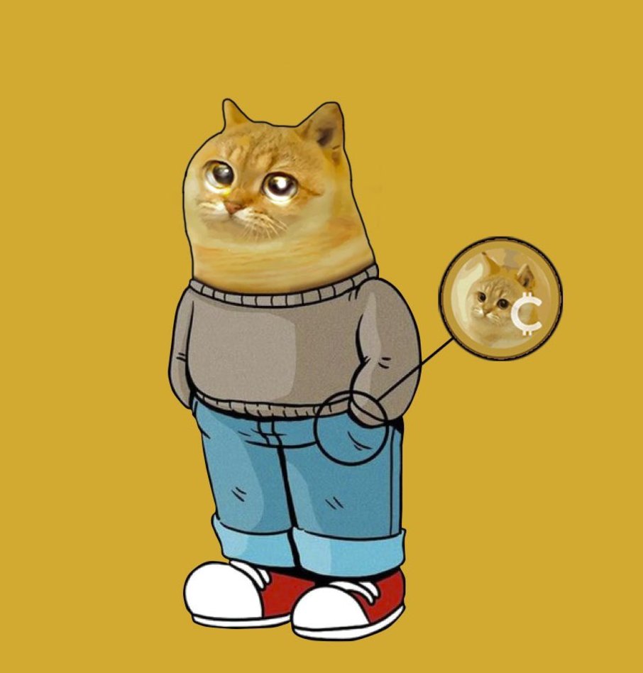 Just a chill $CAT