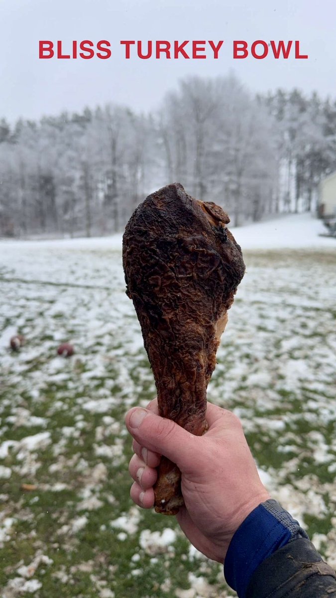 10th Annual Bliss Turkey Bowl 

<a href="/KyleBrandt/">Kyle Brandt</a> would this qualify for The <a href="/gmfb/">Good Morning Football</a> Not New Jersey segment??

#gobills