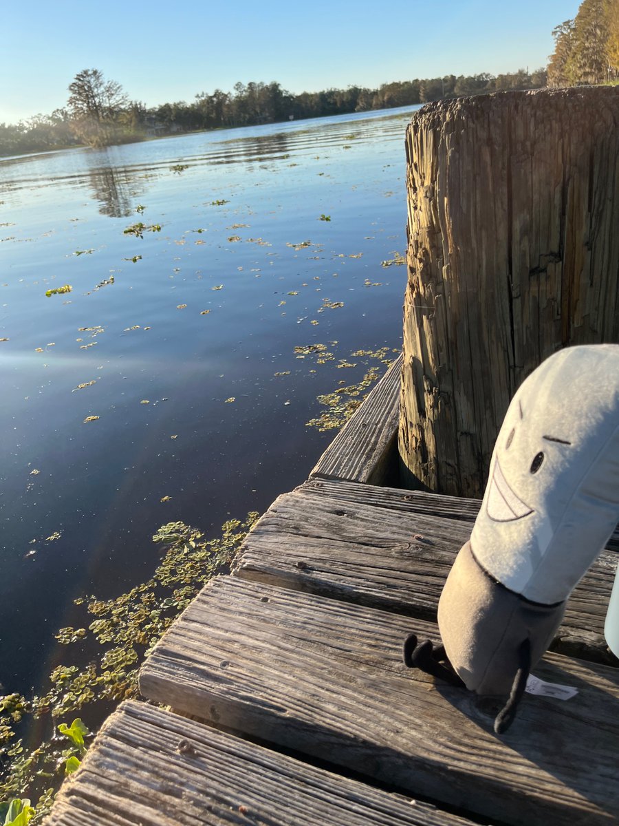 Sakorascribbles's tweet photo. Day 1 with Knife Plush
Vs.
Day 2 with Knife Plush
(Edit by @KentHere24 . Thank you so much.) https://t.co/uTRaq6eXsl