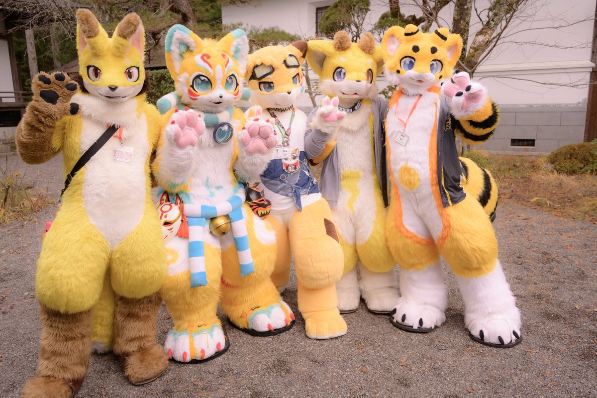 #FursuitFriday
#寺もふ
黄色キャラって意外と沢山いる？🟡