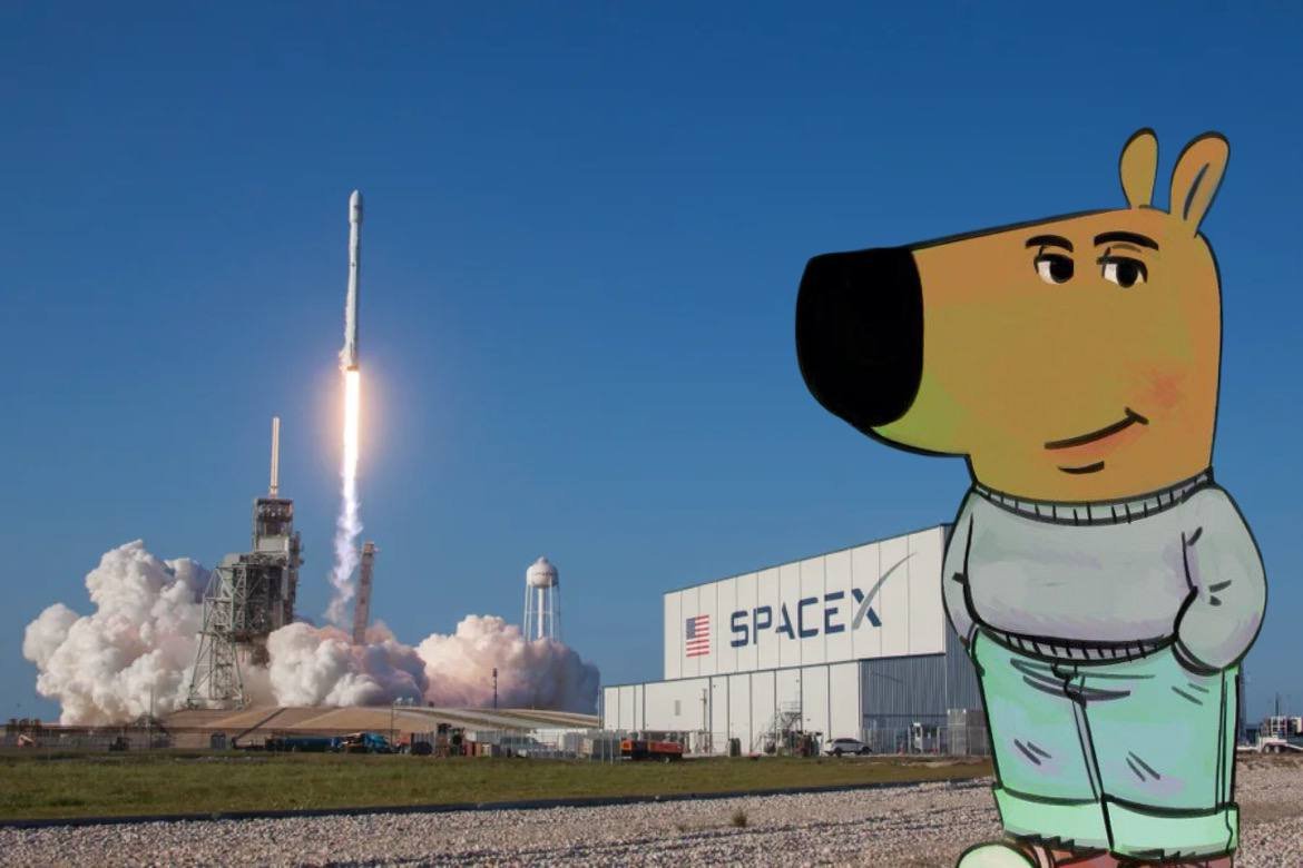 chillguyx's tweet photo. @elonmusk @DimaZeniuk @earthcurated https://t.co/RnHeBi2jsr