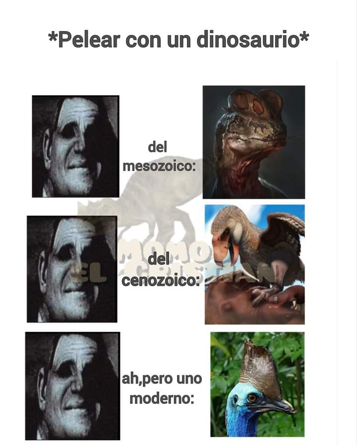 Pinguterra's tweet photo. Buenas noches banda y recuerden, los dinosaurios nunca fueron nerfeados
#paleomemes https://t.co/YOpmdOtuND