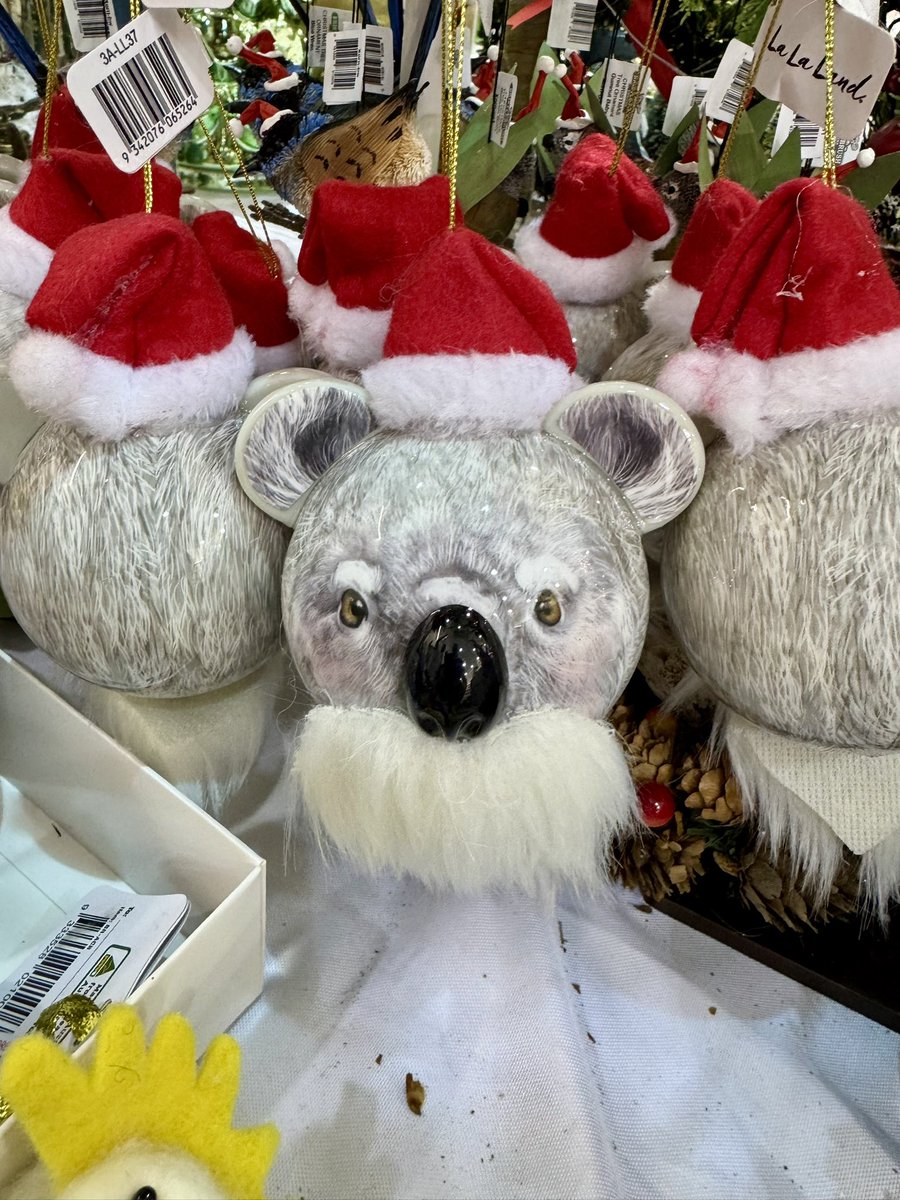 Richard_Aus's tweet photo. They’ve made Christmas decorations to celebrate your excellent recent tour. @BillBailey. A proper Aussie honour. https://t.co/vSPA8bPTAa