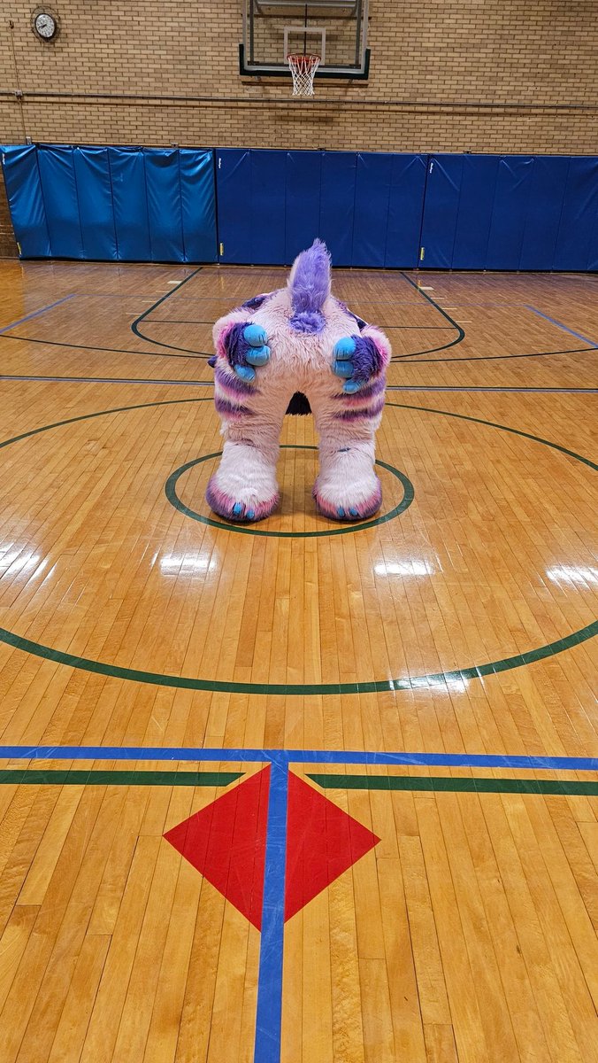 Chi 🔜 FWA tweet media