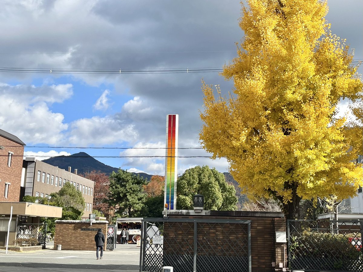 サクシード tweet media