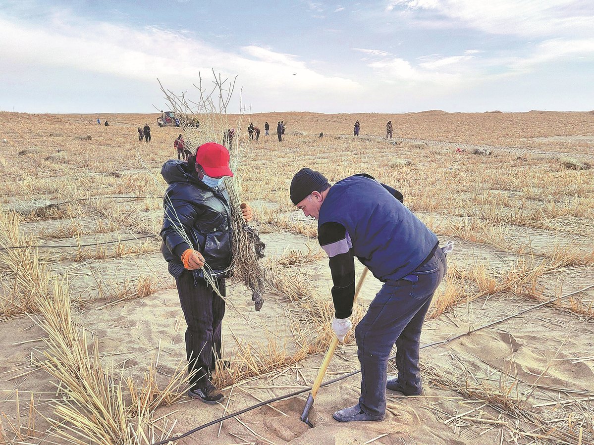 XisMoments's tweet photo. The Taklimakan Desert, the largest desert in China and the world's second-largest drifting desert, has been completely encircled by a sand-blocking green belt that stretched 3,046 kilometers as of Thursday morning. #EcoChina #afforestation
https://t.co/bMa6H5gCLv https://t.co/574mnQnWf1