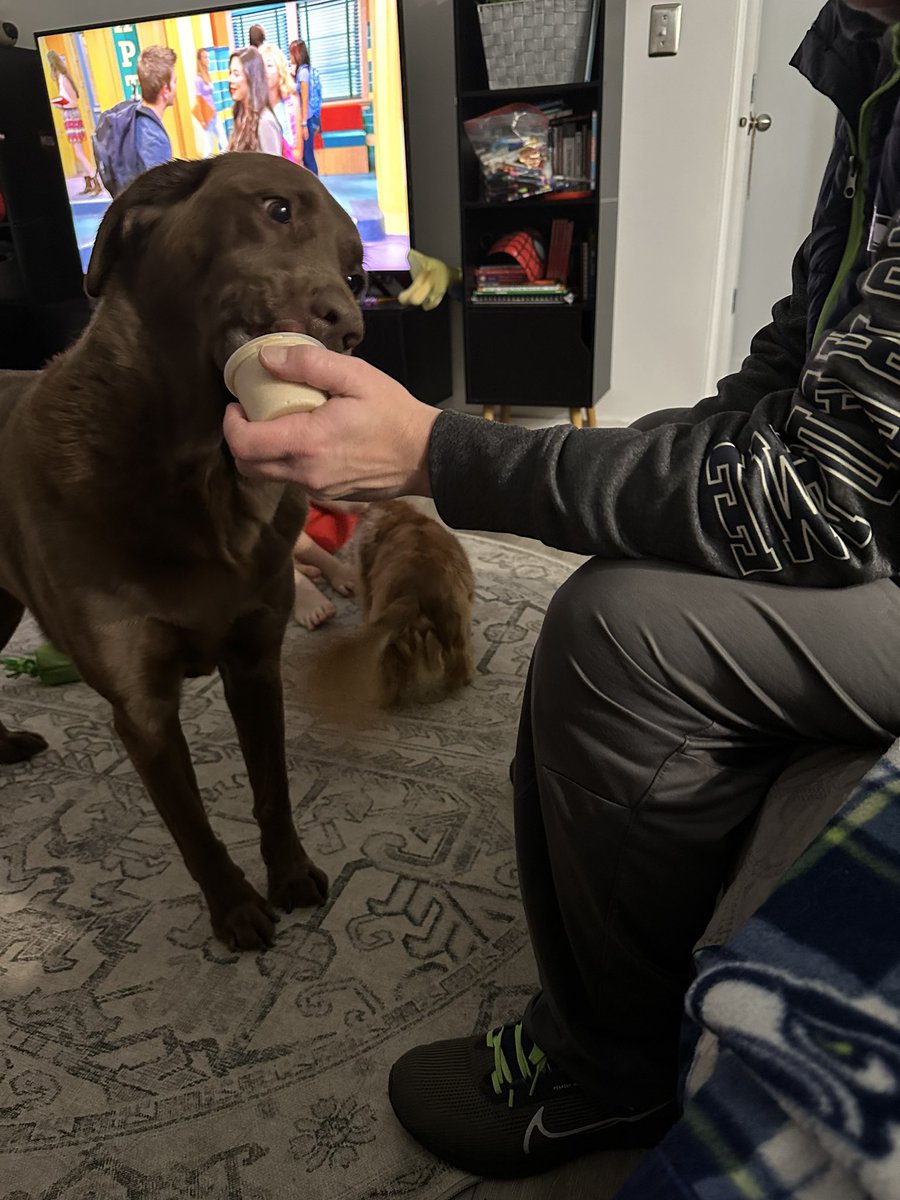 ᴮᴱrachel tweet media