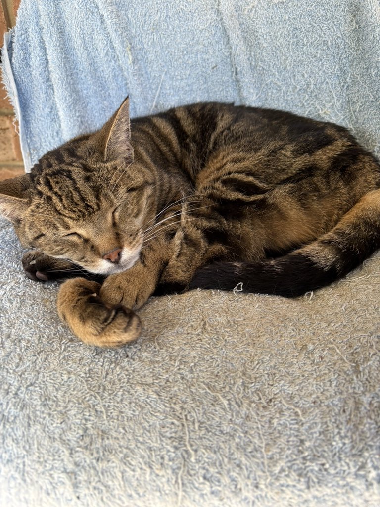 atwanderlast's tweet photo. @tthiking I am feeling better thanks Torre. My nurse is lazy though. No help 😂 https://t.co/yUZ7AXopP4