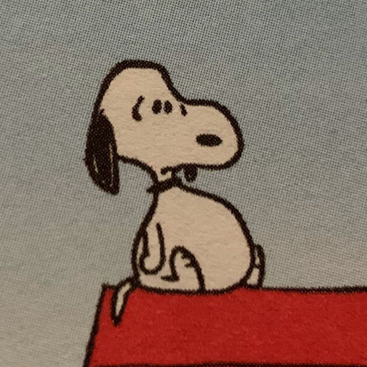 Daily Snoopy (@dailysnoopys) on Twitter photo 