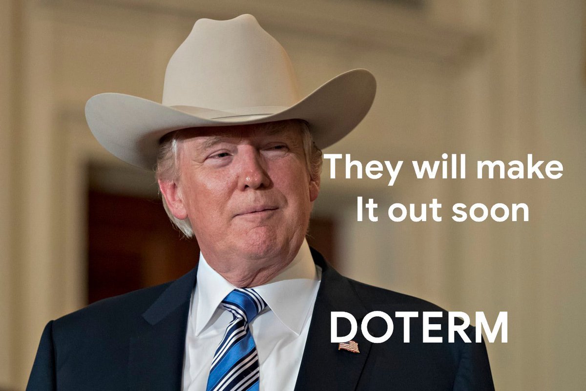 DogeInTerminal tweet media